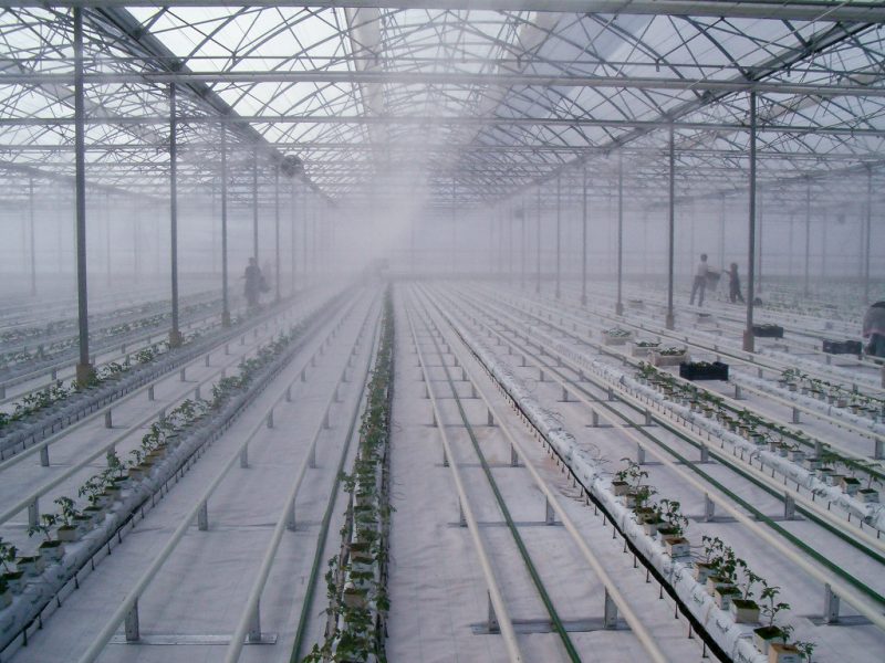 FOGGING AND HUMIDIFICATION SYSTEMS